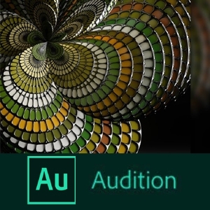 Adobe Audition CC 2020 (Win & MacOS)