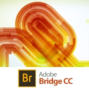 Adobe Bridge 2023 (x64)