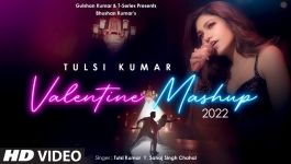 Valentine Mashup 2022