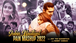 Mashup - Feeling The Pain