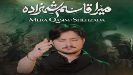 MERA QASIM SHEHZADA