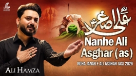 Do Bar Tujhy Mara Gya Nanhe Ali Asghar