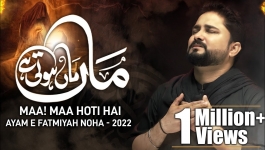 Ghareeb e Zehra Ka Badan - Syed Raza Abbas Zaidi