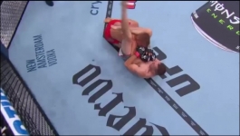 Ultimate Fighting Championship - 2023-08-19